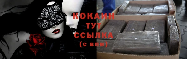 apvp Аша