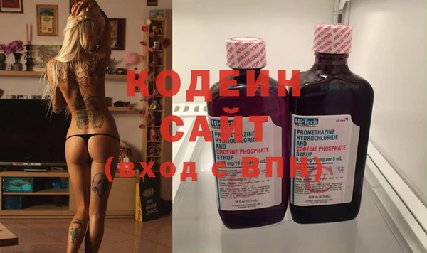 apvp Аша